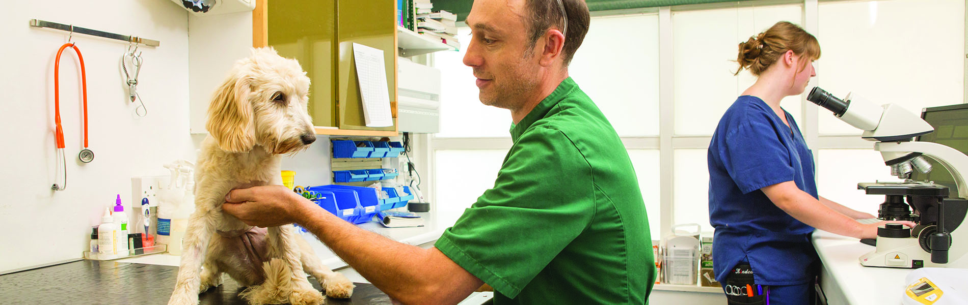 Health Checks and Clinics Abingdon Veterinary Clinic