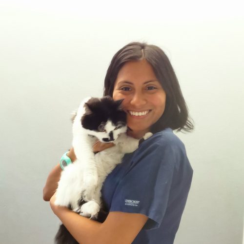 Abingdon Veterinary Clinic Meet Our Abingdon Vets Team Abingdon