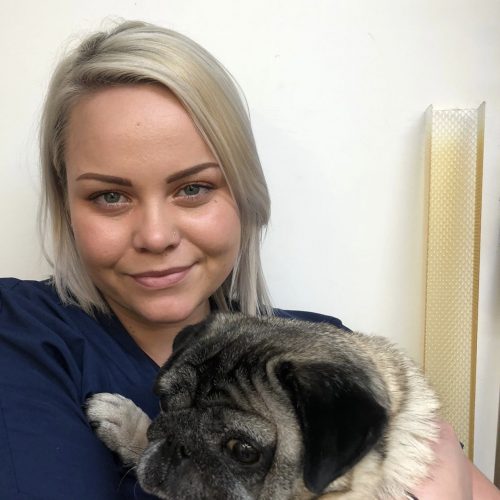 Abingdon Veterinary Clinic Meet Our Abingdon Vets Team Abingdon